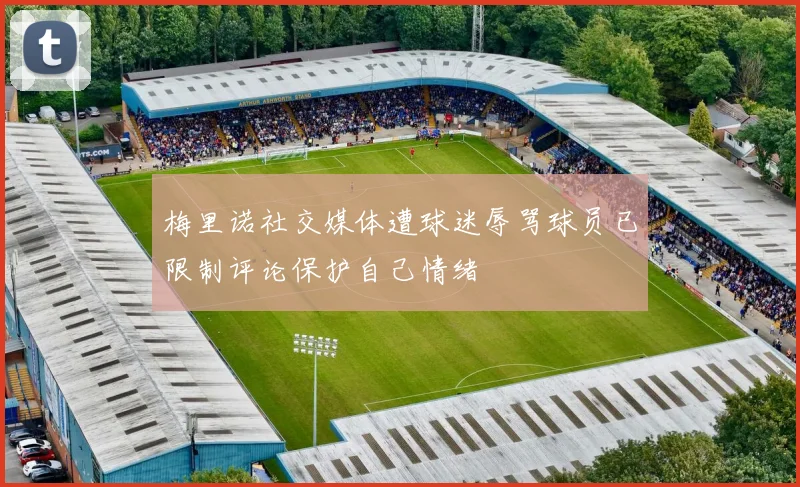 梅里诺社交媒体遭球迷辱骂球员已限制评论保护自己情绪