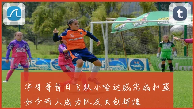 字母哥昔日飞跃小哈达威完成扣篮如今两人成为队友共创辉煌