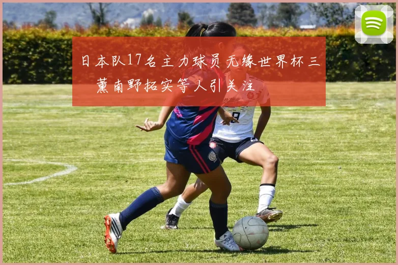 日本队17名主力球员无缘世界杯三笘薰南野拓实等人引关注